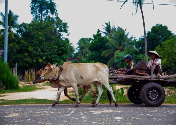 Chansor 6 By Siem Reap Homesteading Séjour chez l'habitant Phumi Trach Pok