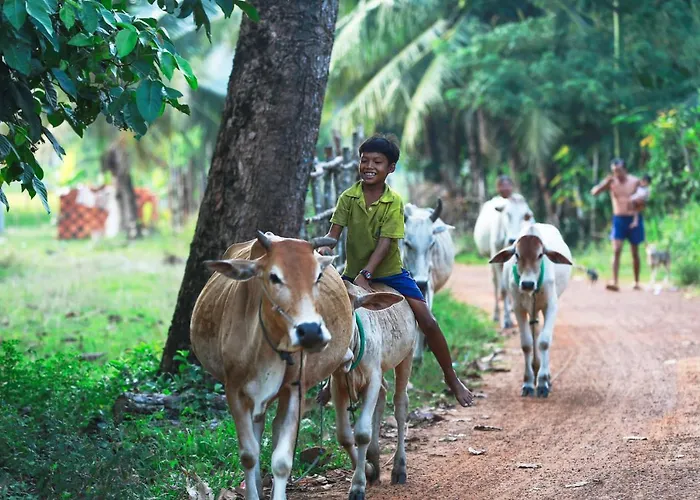 Séjour chez l'habitant Chansor 6 By Siem Reap Homesteading