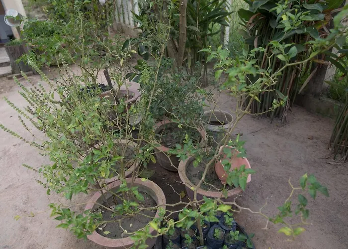 Chansor 6 By Siem Reap Homesteading Séjour chez l'habitant Phumi Trach Pok