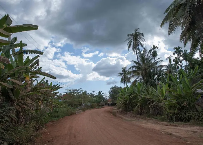 Chansor 6 By Siem Reap Homesteading Phumi Trach Pok
