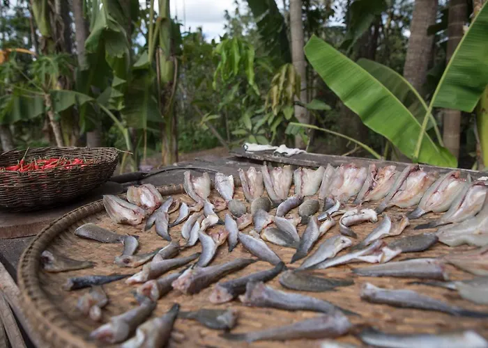 Chansor 6 By Siem Reap Homesteading Phumi Trach Pok