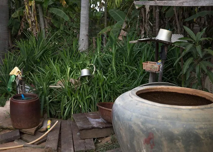 Chansor 6 By Siem Reap Homesteading Phumi Trach Pok
