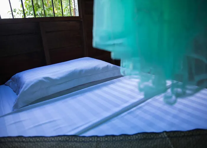 Chansor 6 By Siem Reap Homesteading Phumi Trach Pok